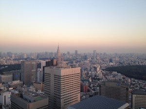 Vue depuis l'observatoire