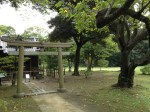 Petit temple dans Hama Rikyu
