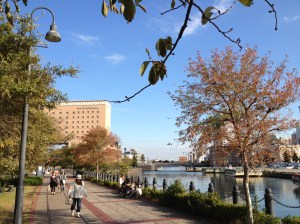 Les couleurs automnales arrivent