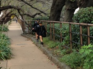 De retour de l'école ...