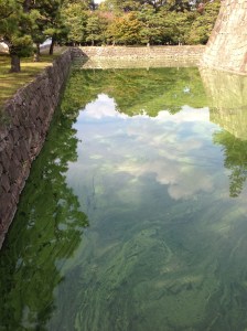 Le miroir de l'eau des douves