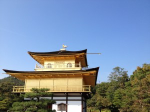 Le Phoenix sur le toit