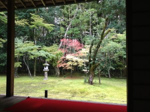 Méditation devant la nature