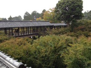 Le pont en cèdre de 100 mètres