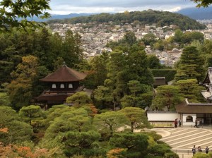 Panorama sur la colline