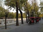 Parc Quianhai