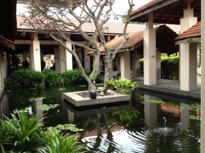 Les carpes du Beaufort