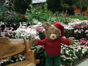 Noël au Dome des Fleurs