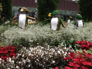 Noël au Dome des Fleurs