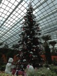 Noël au Dome des Fleurs