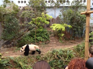 Moi je suis plus vaillant