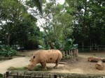 Zoo de Singapour