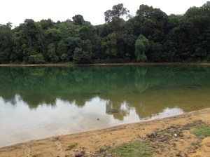 MacRitchie