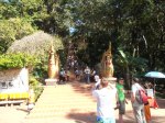 Doi Suthep