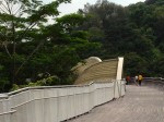 Henderson Waves