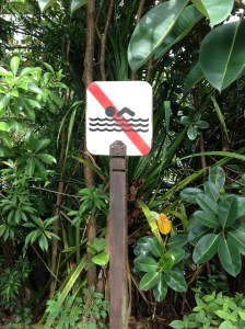 Qui aurait idée de plonger ?