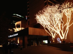 Arbres illuminés du Westin