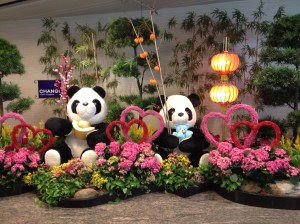 Nos Panda de Singapour