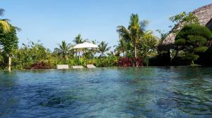 1458623_10152474950086842_7337095963694531277_n